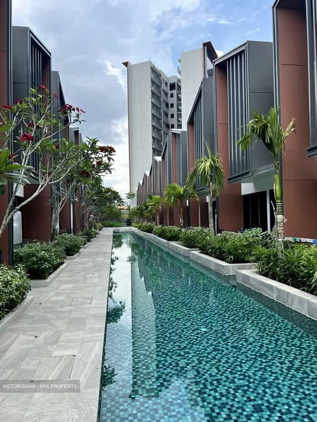 Affinity At Serangoon (D19), Apartment #550861561